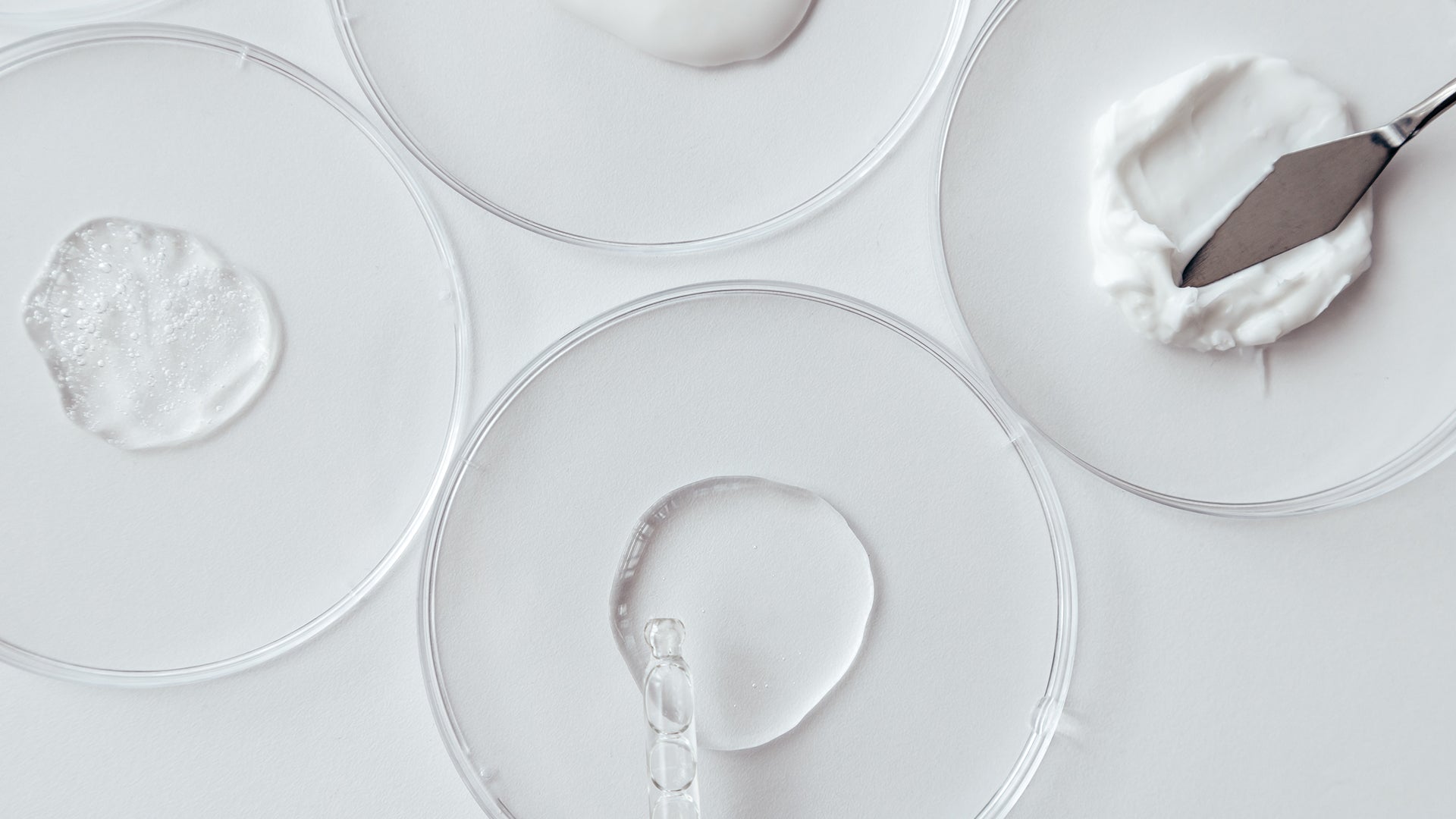 Our Journey to Notch