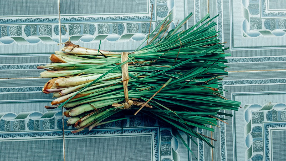 Bundle of fresh lemongrass on a tiled floor